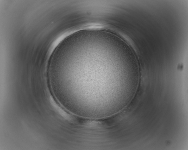 X0000112961475200909031010