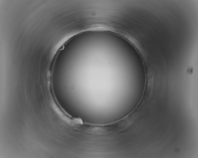 X0000112961476200909031010