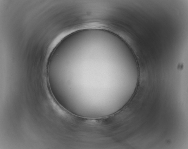 X0000112961478200909031009