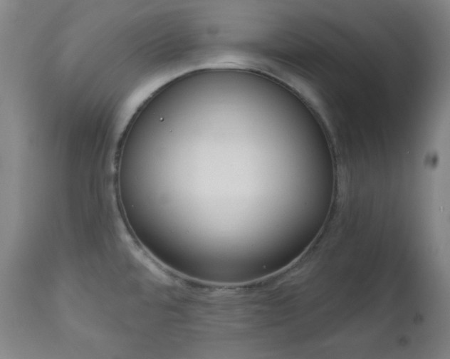 X0000112961480200909031009