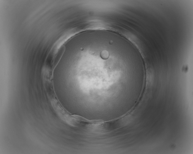 X0000112961481200909031009