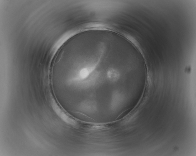 X0000112961482200909031009