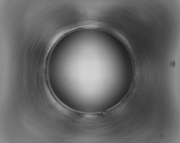 X0000112961483200909031009