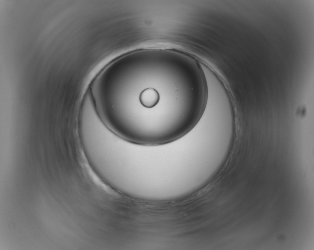 X0000112961484200909031009