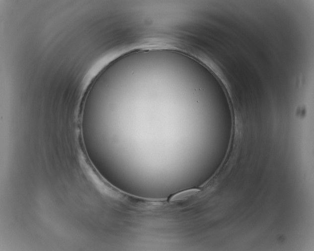 X0000112961485200909031009