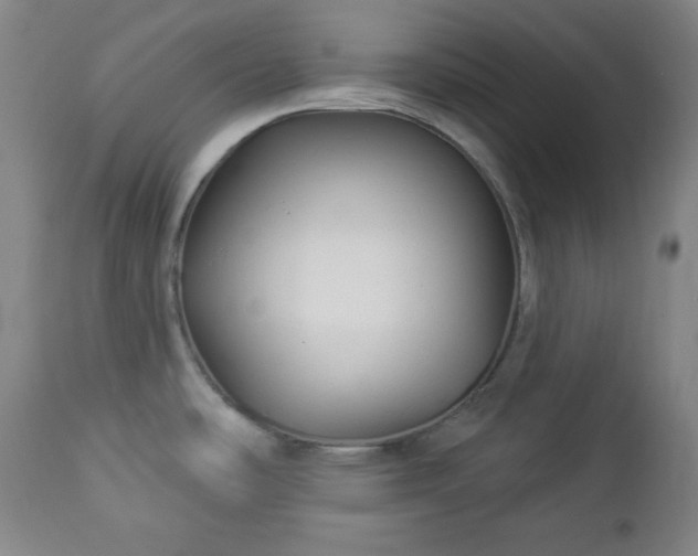 X0000112961486200909031009