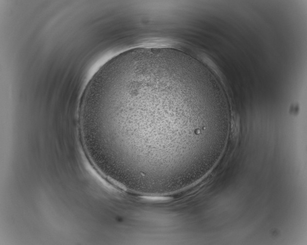 X0000112961487200909031009