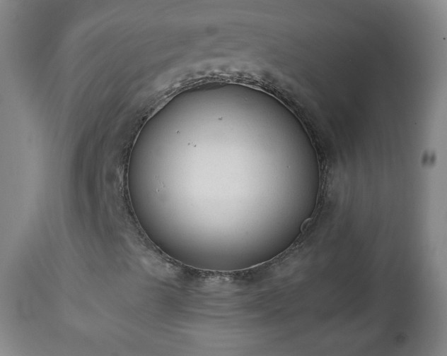 X0000112961489200909031009