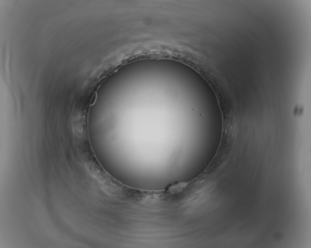 X0000112961490200909031009