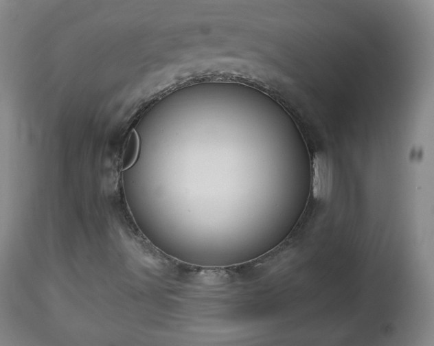 X0000112961491200909031009