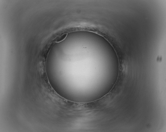 X0000112961493200909031009