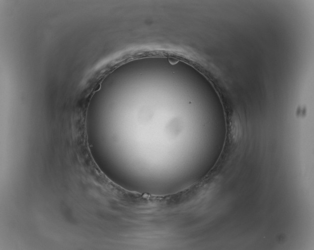 X0000112961494200909031009