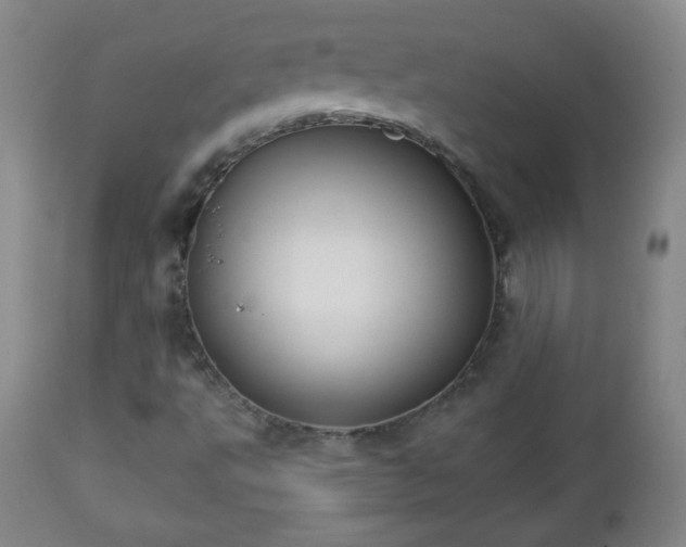 X0000112961495200909031009