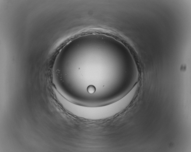 X0000112961496200909031009