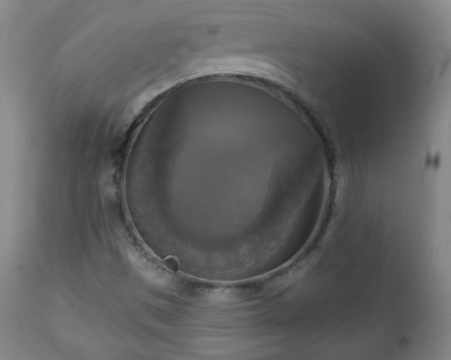 X0000112961497200909031009