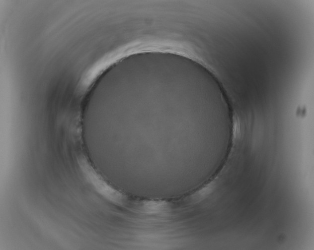 X0000112961498200909031009