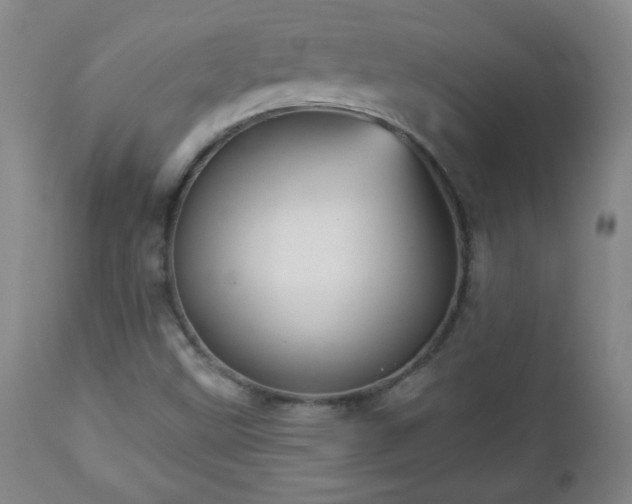 X0000112961499200909031009