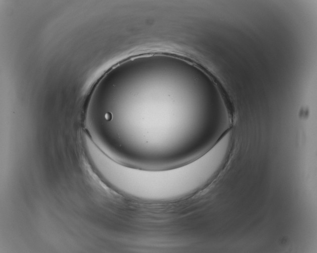 X0000112961500200909031009