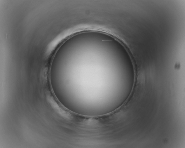 X0000112961503200909031009