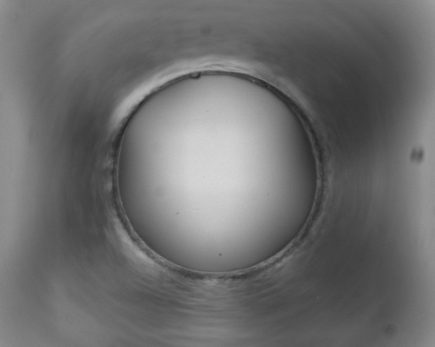 X0000112961504200909031009