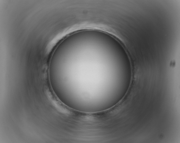 X0000112961507200909031009