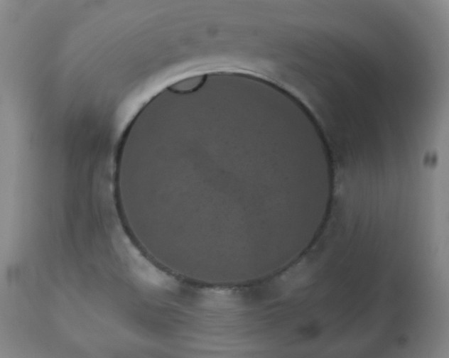 X0000112961508200909031009