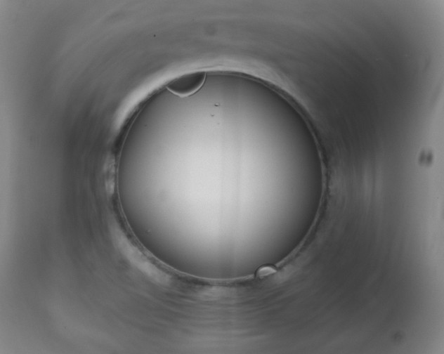 X0000112961510200909031009