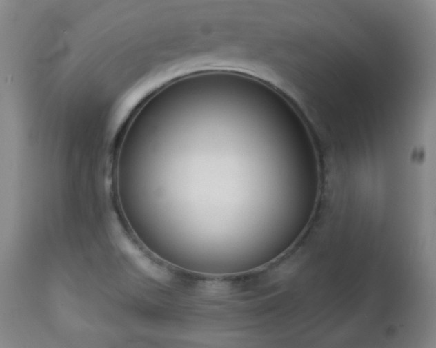 X0000112961511200909031009