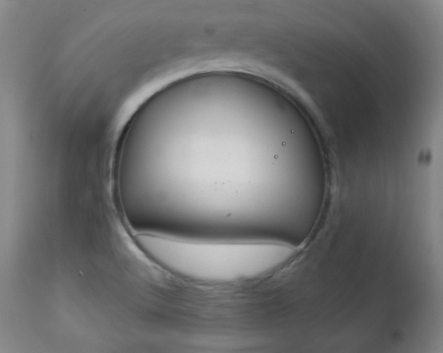 X0000112961512200909031009