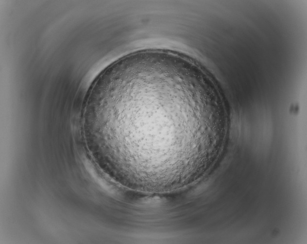 X0000112961513200909031009