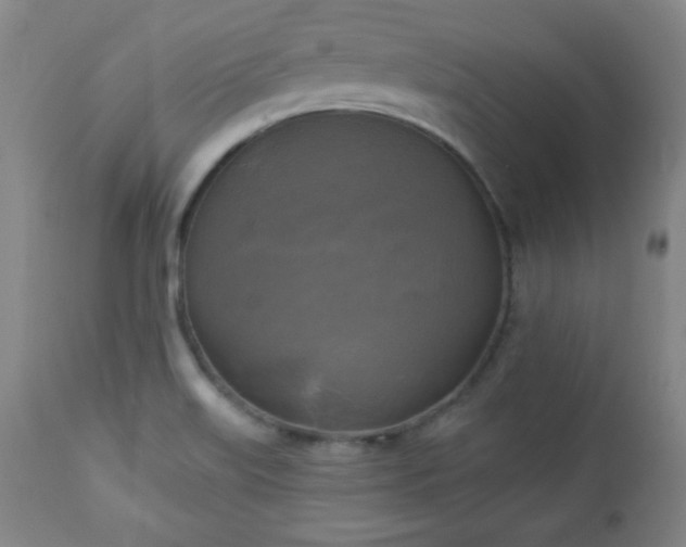 X0000112961515200909031009