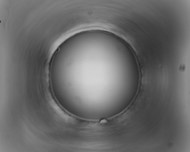 X0000112961516200909031009