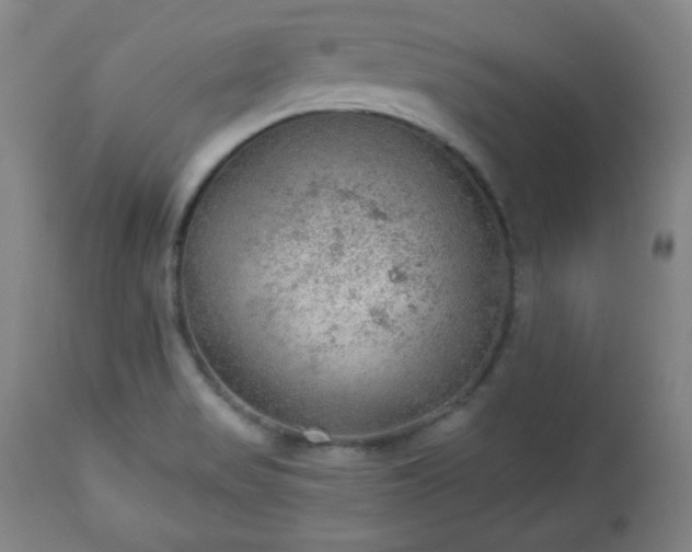 X0000112961517200909031009