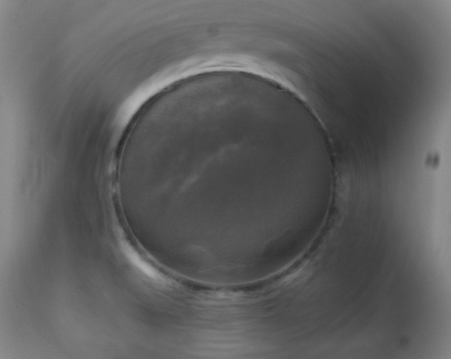 X0000112961519200909031009