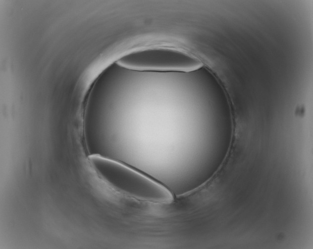 X0000112961520200909031009