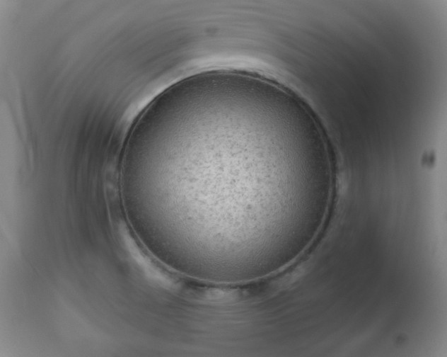 X0000112961521200909031009