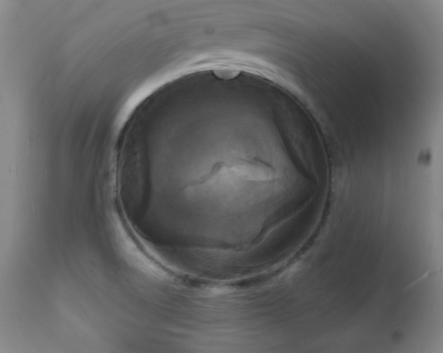 X0000112961522200909031009