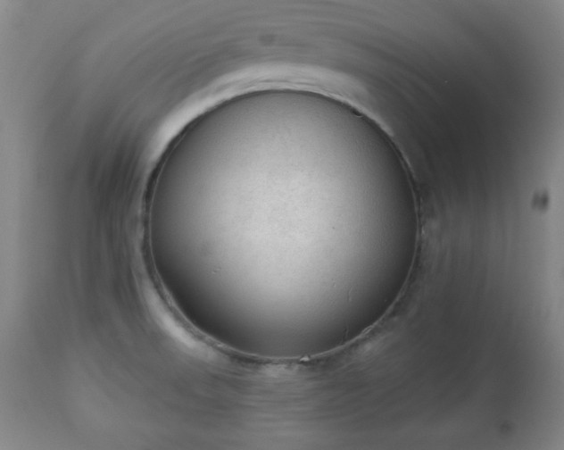 X0000112961523200909031009