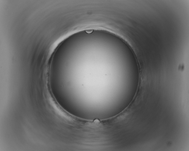 X0000112961526200909031009