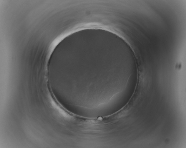 X0000112961527200909031009