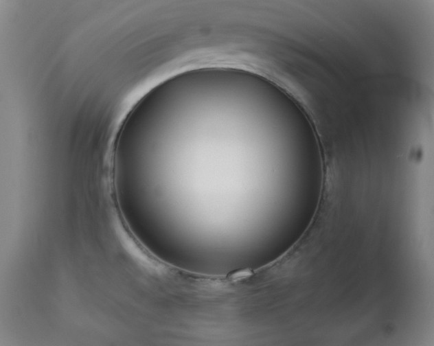 X0000112961528200909031009