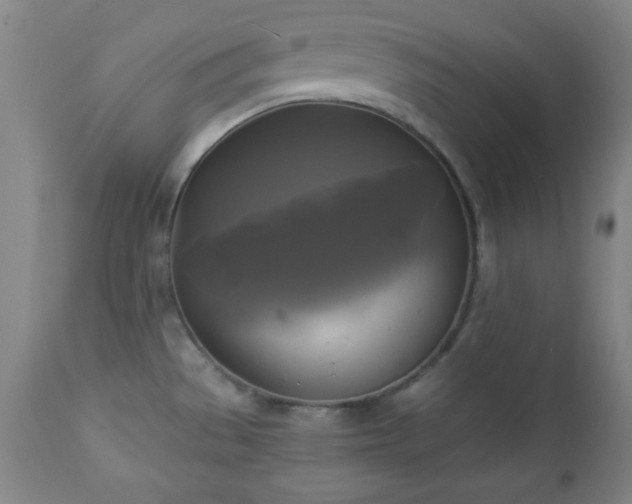 X0000112961529200909031009