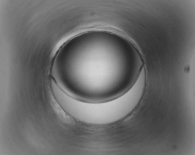 X0000112961530200909031009