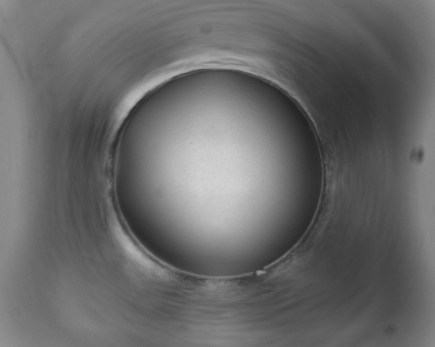 X0000112961531200909031009