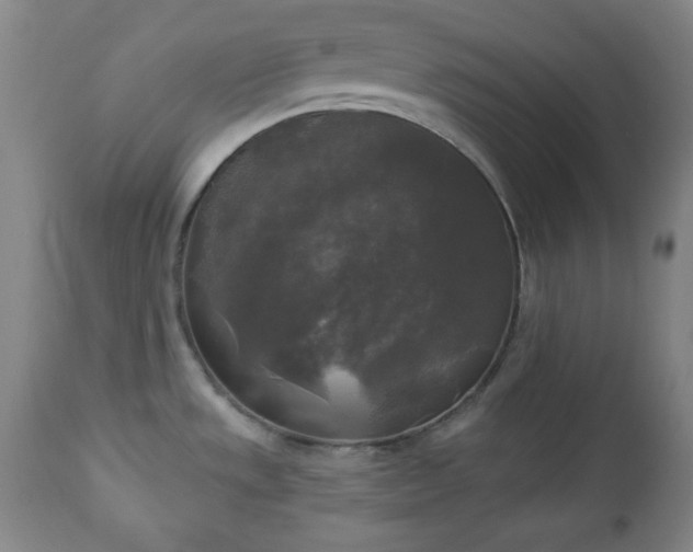 X0000112961533200909031009