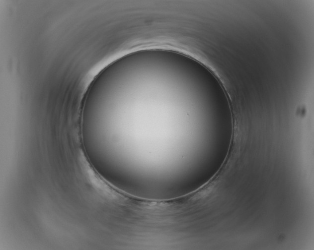 X0000112961534200909031009