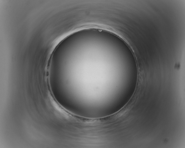 X0000112961535200909031009