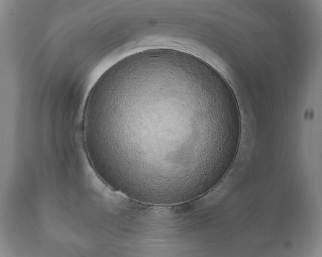 X0000112961536200909031009