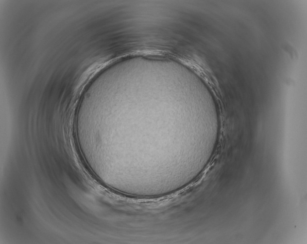 X0000112960001200909101642