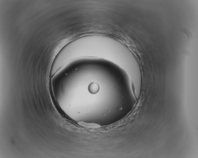 X0000112960003200909101642